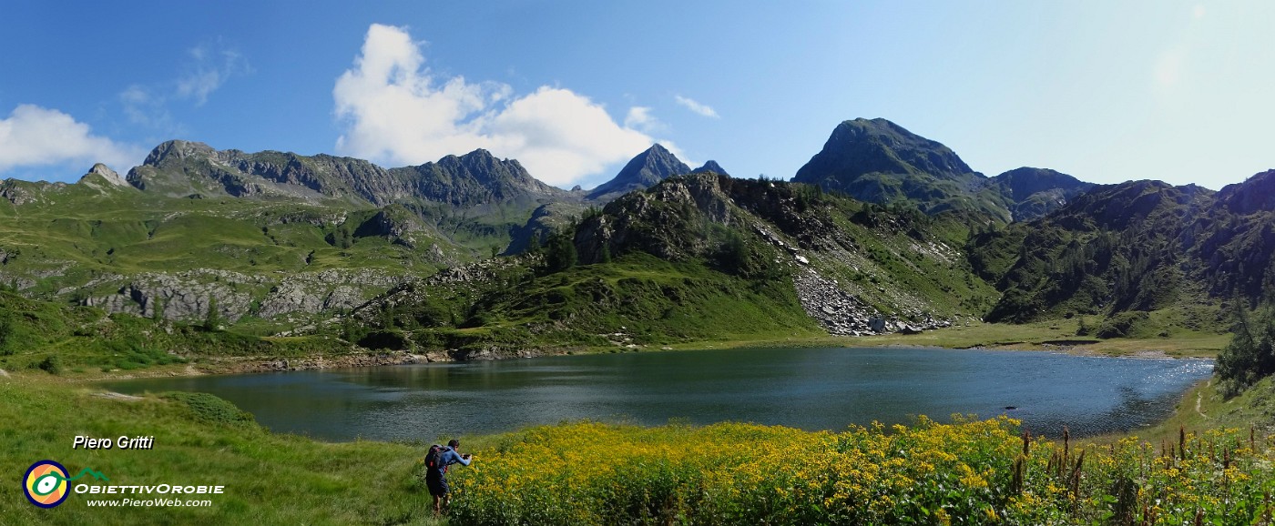 14 Distesa di giallo senecio in riva al Lago Rotondo con vista su Aga-Rondenino-Diavolo-Grabiasca .jpg